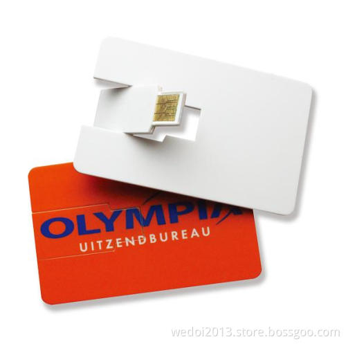 Card USB Flash Drive (WY-C01)